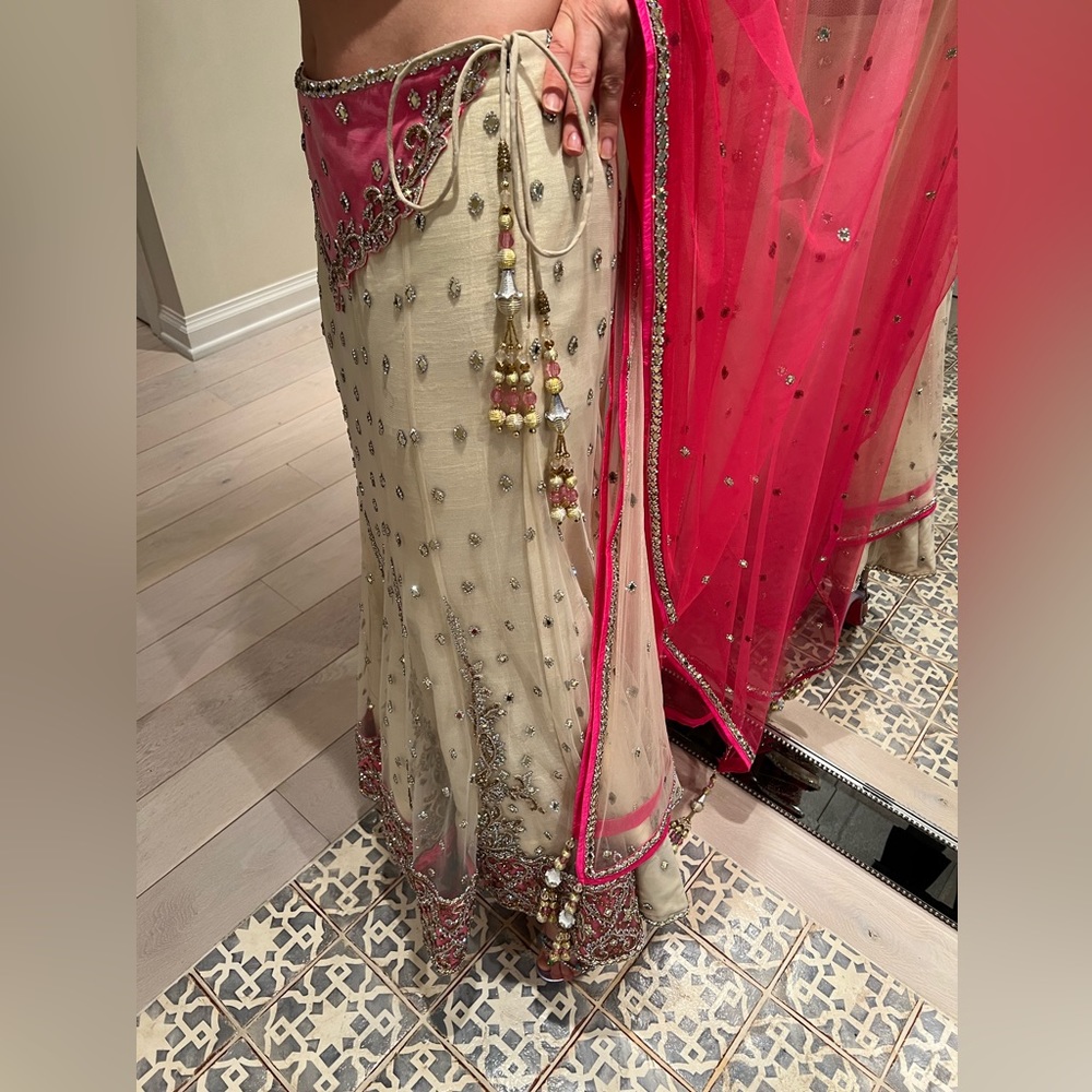 Gorgeous Indian wedding dress - Picture 13 of 17